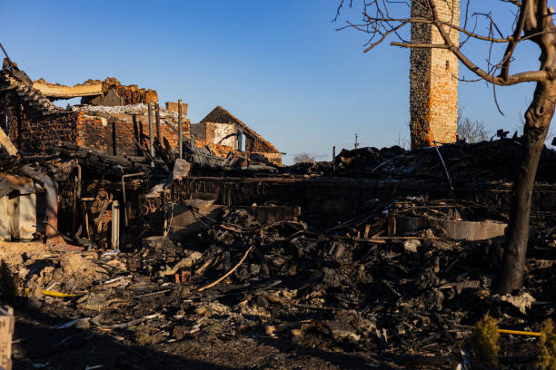 Reliable Fire Damage Removal contractor in Spring Valley, AZ by Fire Damage Doption